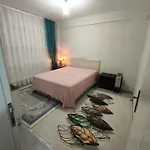 Soem Elaia House